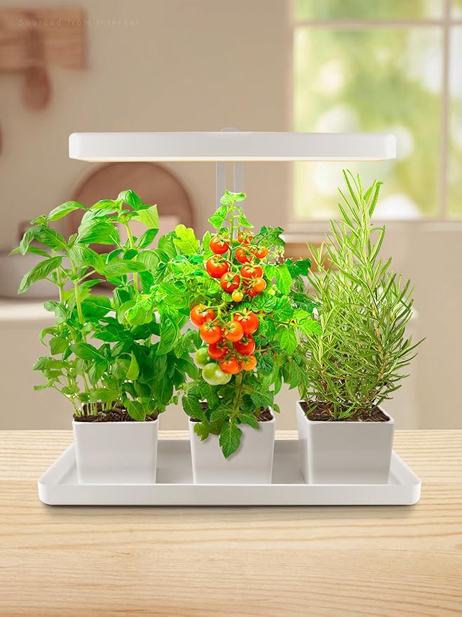 TORCHSTAR Indoor Herb Garden with LED Grow Light, Height Adjustable, 20W Growing System with Automatic Timer, CRI 95+, Full Spectrum Plant Light for Seeds, Vegetation, Home, White, No Pots or Plants
