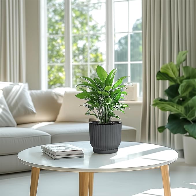 T4U 6 Inch Self Watering Pots for Indoor Plants, 6 Pack Planters for Indoor Plants, Durable Plastic Charcoal Gray Pots for Indoor Plants, African Violets, Flower