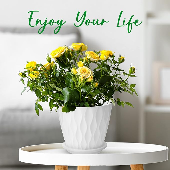 6 inch Plant Pots, 5 Pack Flower Pots Outdoor Indoor, Planters with Drainage Hole and Tray Saucer.