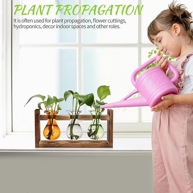 Plant Propagation Station Plant Terrarium Unique Birthday Gifts for Women Plant Lovers Home Office Decor Planter with Wooden Stand - 3 Bulb Glass Vase