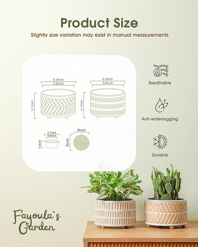 Succulent Pots, 6 Inch Pot for Indoor Plants, Footed Pots for Plants with Drainage, Succulents or Small Plant Indoor Plant Pots, Set of 2