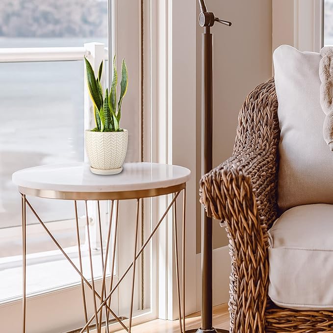 Oairse 4 inches Ceramic Planter Pots 3 Set of Small Round Flower Pots with Drainage Hole and Ceramic Tray for Succulents Cactus Indoor Outdoor Garden Home Windowsill