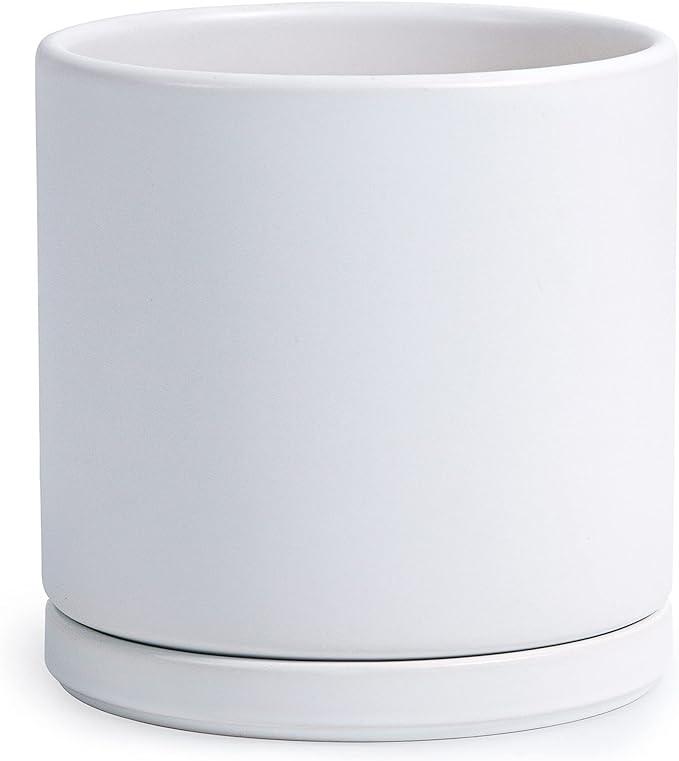D'vine Dev 8 Inch Ceramic Planter Pot with Drainage Hole and Saucer, Indoor Cylinder Round Planter Pot, White, 94-O-D-1