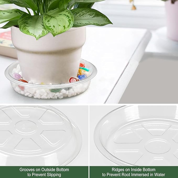 BORPEIN Plant Saucer (6,8,10,12inch, 24 Pack) Clear Plastic Plant Trays for Pots Indoors Outdoors, Thicker Flower Pot Saucers, Plant Plate to Catch Water