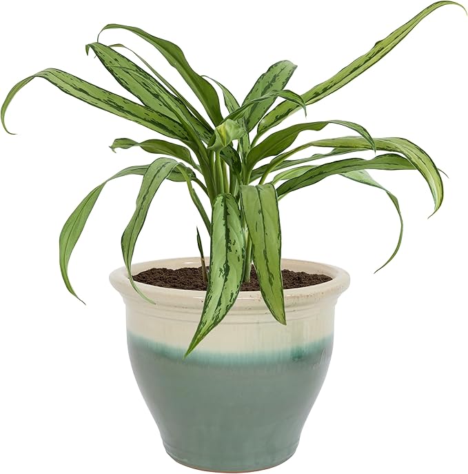 Sunnydaze Studio Large Ceramic Plant Pot - Round Outdoor Glazed Ceramic Planter Pot with Drainage - Gray - 18.5"