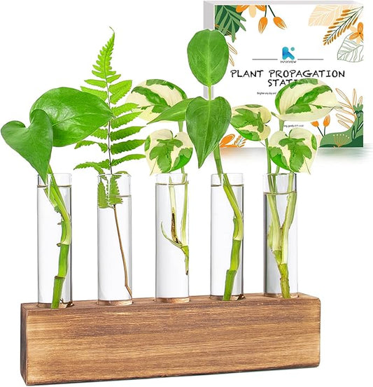 KAXYEW Plant Propagation Station, Plants Propagation Tubes, Gifts for Plant Lovers, Plants Cutting Holder Test Tube Vase Office Desk Garden Décor Gift for Her Mom Women Hydroponic Vase Gift Box