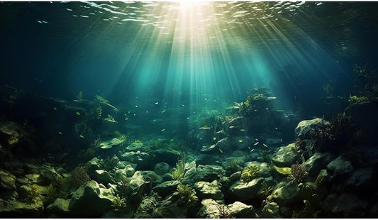 Deep Ocean Aquarium Background Under The Sea Fish Tank Background Underwater World Terrarium Backgrounds Ocean Floor Rock Aquatic Plants Aquarium Backdrop for Fish Tank Backgrounds Decors 48x18in