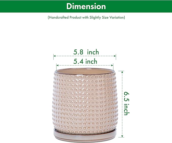 D'vine Dev Set of 2 Ceramic Plants Pots, 6 Inch Beaded Stoneware Flower Pot for Plants with Drainage Hole and Saucer, Light Brown, 27-E-X-4