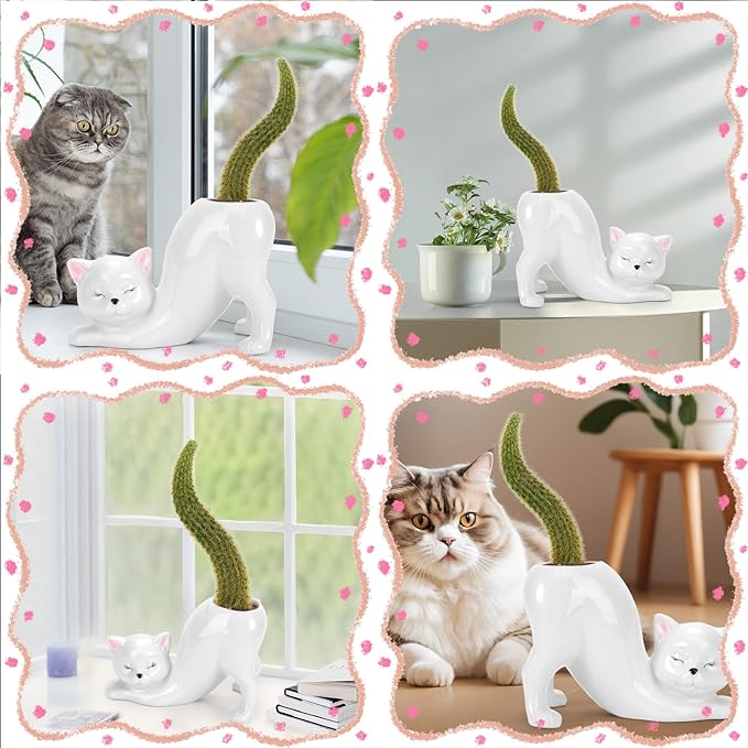TOIVO Unique Cat Planter Pot，Indoor and Outdoor Plant Displays，Funny Ceramics Cat Flower Pot，Cat Gifts for Cat Lovers，Lovely Office Desk Room Home Decor (White, Small)