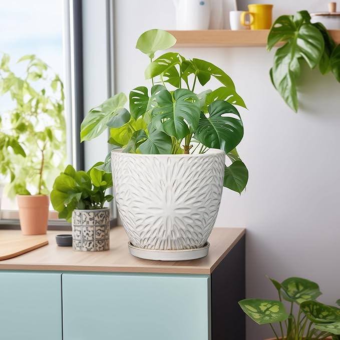 G EPGardening 8 Inch Ceramic Plant Pot with Drainage Hole and Saucer Round Planter Pot for Indoor Outdoor Plants Modern Large Flower Pot White