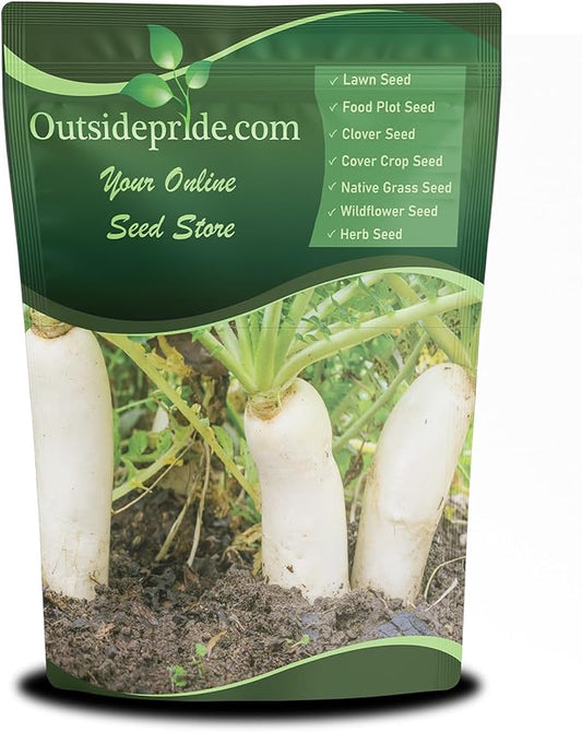 Outsidepride Annual Daikon Radish Seeds - 1 lb. Chinese, Japanese, & Oriental Radish Seeds for Soil Health, Erosion Control, & Soil Aeration - Ideal for Gardens, Cover Crops, Pastures, & Food Plots