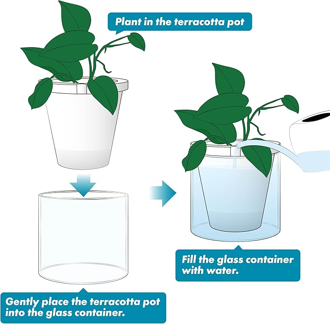 D'vine Dev 8 Inch Design Self Watering Planter for Indoor Plants, White Terracotta Pots with Cylinder Glass Cup, 37-X-C-2