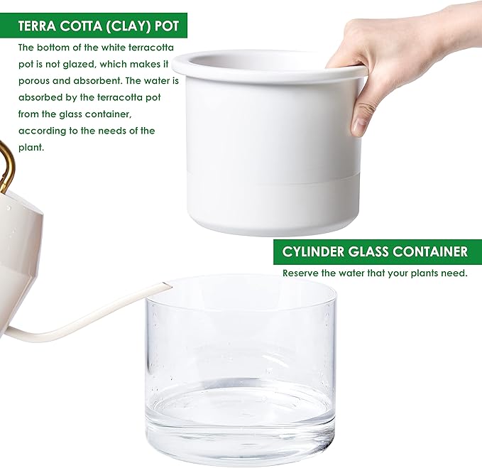 Phoenix Vine 6 Inch Self Watering Planter Pot, Design White Terracotta Pot for Plants, Indoor Cylinder Terra Cotta Pot with Glass Vase, Set of 1, 51-B-F-1