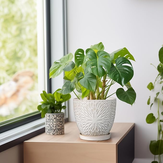 G EPGardening 6 Inch Plant Pot for Indoor Plants Outdoor Round Ceramic Planter Decorative Flower Pot with Drainage Hole and Saucer White