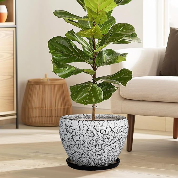 Ceramic Planters for Indoor Plants - 10 Inch Plant Pot with Drainage Hole and Saucer, Large Flower Pot for Home Decor, White/Black