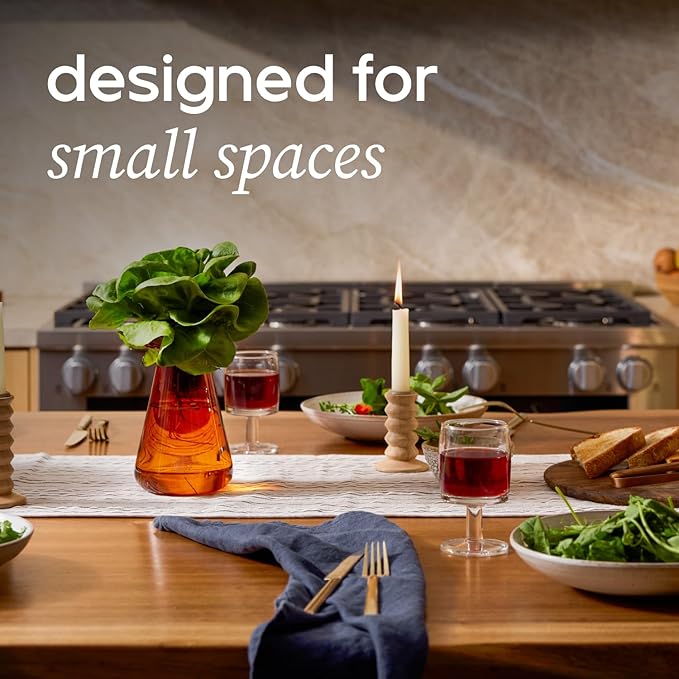 Counterstand Set – Vase Plant for Indoor Edible Garden Kit for Herbs & Lettuce – Small-Space Hydroponic System – Home Decor & Gifting – with Live Plants