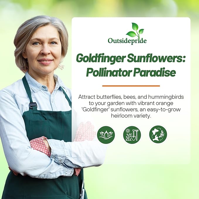 Outsidepride Goldfinger Mexican Sunflower Seeds - 500 Pcs Annual, Easy-to-Grow, Orange Tithonia Speciosa Flower Seeds w/Drought-Tolerant Blooms for Pollinator Gardens & Vibrant Summer Landscaping