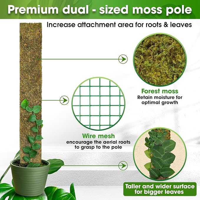 DUSPRO 59’’ Flat Mesh Moss Poles for Climbing Plants Monstera Flat Stacks for Tall Plant with Real Moss Moss Pole for Indoor Plants Plant Stick Support Tall Indoor Plants Support Stakes (1pc., 59'')