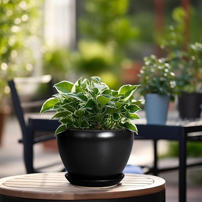 Ceramic Planter Pot - 6 Inch Plant Pot with Drainage Hole and Saucer Round Planter for Indoor Plants Outdoor Succulent Pot Modern Flower Pot for Home Decor Black