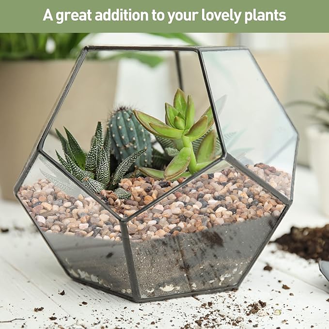 GASPRO Drainage Pebbles for Indoor Plants, 1/5 Inch Small Rocks for Potted Plants, Decorative Pebbles for Succulent, Cactus, Crafts, Bamboo, Pea Gravel for Landscaping, Aquarium, Fish Tank, 5lbs