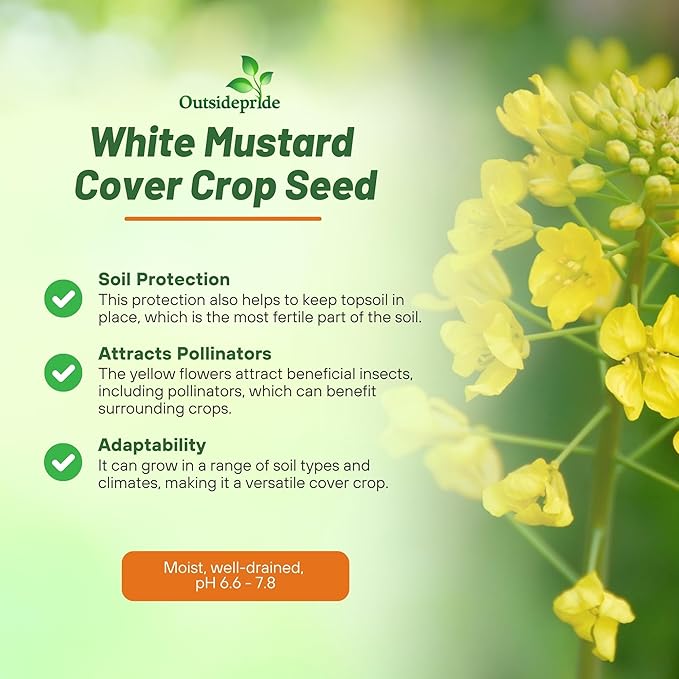 Outsidepride White Mustard Seeds for Planting - 10 lb Annual Cover Crop Seeds w/Deep Root System, High Protein Forage, Ideal for Soil Fertility, Crop Rotations, & Livestock Nutrition