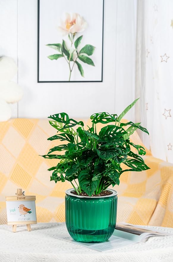 Melphoe 1 Pack Self Watering Hanging Planters Indoor Flower Pots, 8.3 Inch Outdoor Hanging Plant Pot Basket, Plant Hanger with 3Hooks Drainage Holes for Garden Home