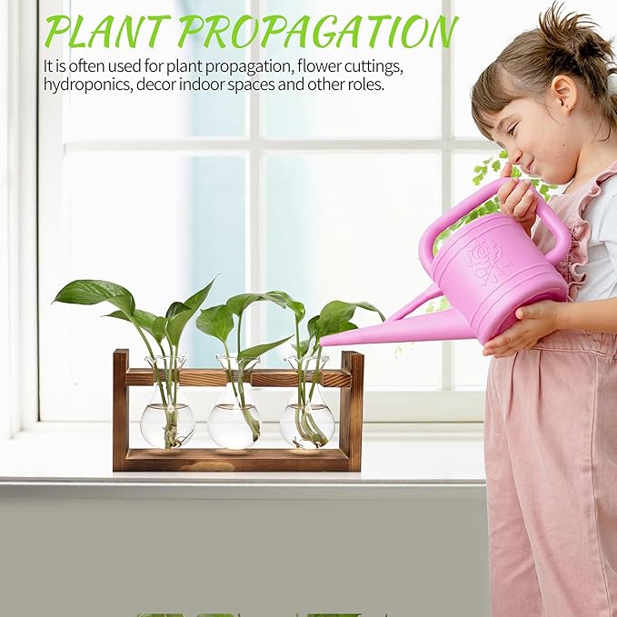 Plant Propagation Station Plant Terrarium Unique Birthday Gifts for Women Plant Lovers Home Office Decor Planter with Wooden Stand - 3 Bulb Glass Vase