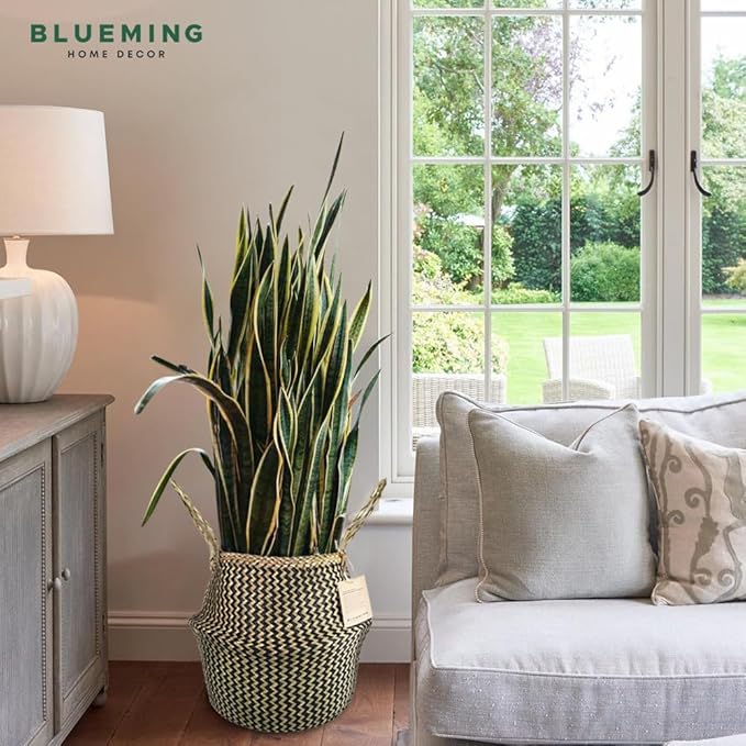 Olive Tree Basket – Small Seagrass Plant Pot for Tall Indoor Artificial Trees, Woven Planter 8-9 Inches, Wicker Baskets for Decorative Storage (Black, Medium)