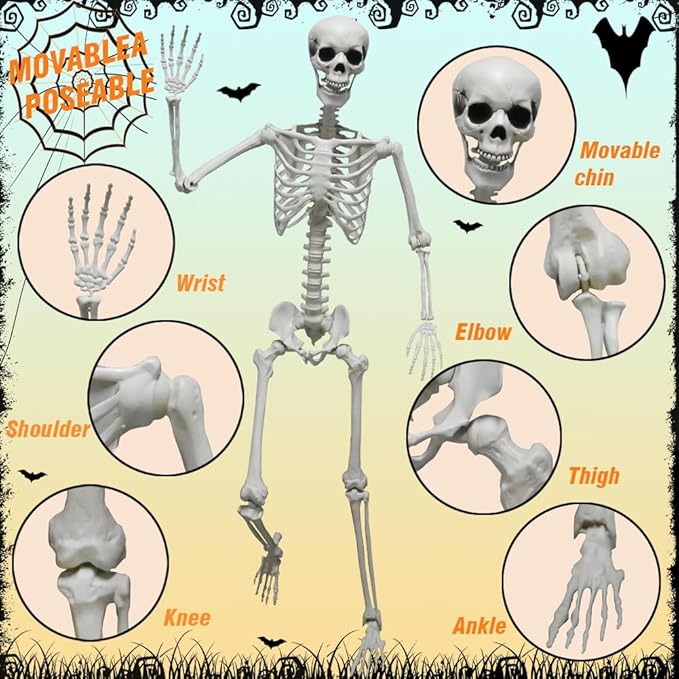 DINESIL 6Ft/185cm Halloween Skeleton, Life Size Skeleton Halloween Realistic Full Body Bones with Movable Joints for Halloween Party Haunted House Indoor Outdoor Decoration