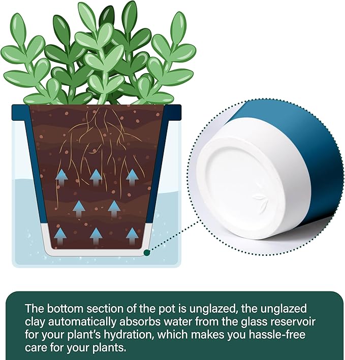 D'vine Dev 4 Inch Design Self Watering Planter for Indoor Plants, Blue Terracotta Pot with Cylinder Glass Cup, Set of 4, 37-Z-A-4-F