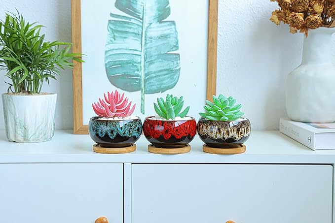 Cute Ceramic Succulent Garden Pots, Planter with Drainage and Attached Saucer, Set of 5 -Plants Not Included (Round)