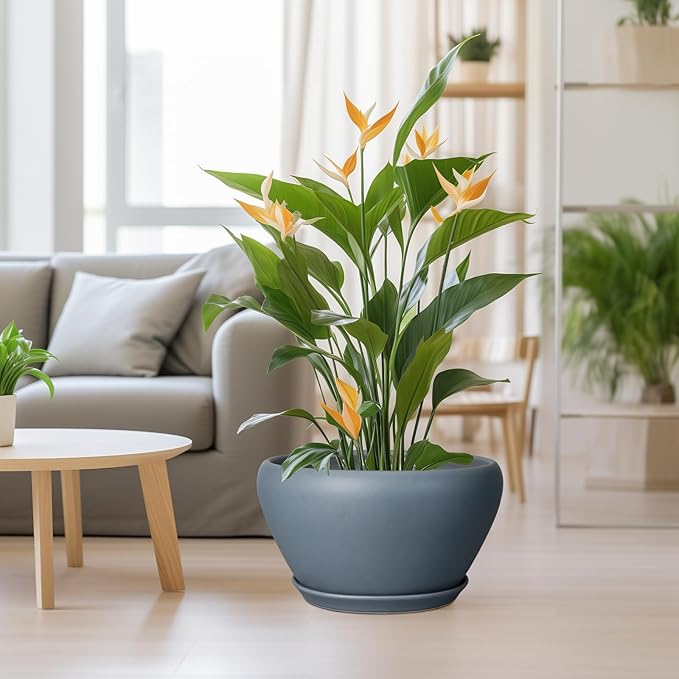 Ceramic Planter - 13 Inch Planter for Indoor Plants Large Plant Pot with Drainage Hole and Saucer Round Outdoor Planter Modern Flower Pot for Home Decor Gray