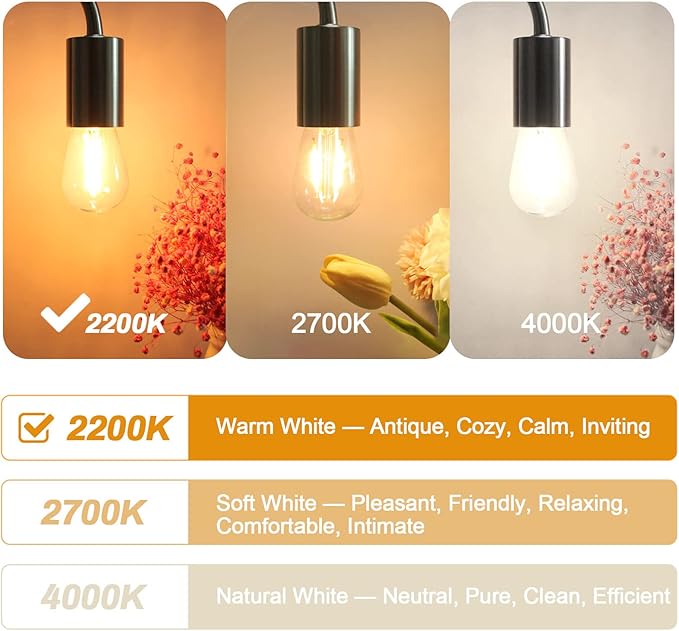 BRIMAX 25 Pack 2W S14 Replacement LED Light Bulbs for Outdoor String Lights, 2200K Warm White, Shatterproof & Waterproof,E26 Medium Base Vintage Edison Light Bulbs