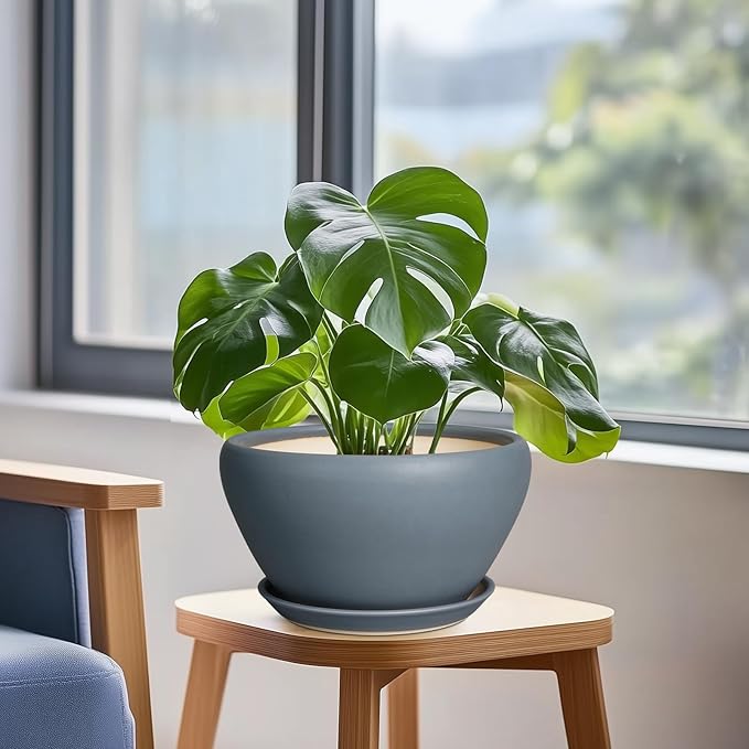 Ceramic Pots for Plants - 9 Inch Planter for Outdoor Plants Large Plant Pot Indoor with Drainage Hole and Saucer Decorative Modern Flower Pot for Home Garden Decor Gray