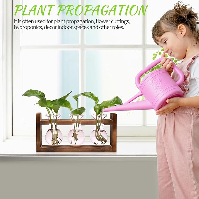 Plant Propagation Station Plant Terrarium Unique Birthday Gifts for Women Plant Lovers Home Office Decor Planter with Wooden Stand - 3 Bulb Glass Vase