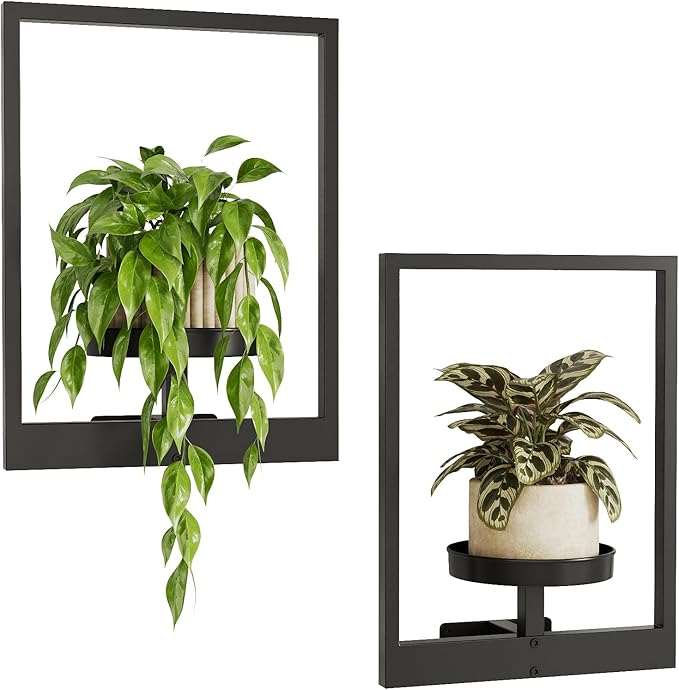 Bamworld Wall Planters for Indoor Plants Metal Wall Plant Holder Plant Hanger Wall Decor Wall-Mounted Wall Hanging Planters Outdoor Plant Rack Black 2 Pack (Patent Design)