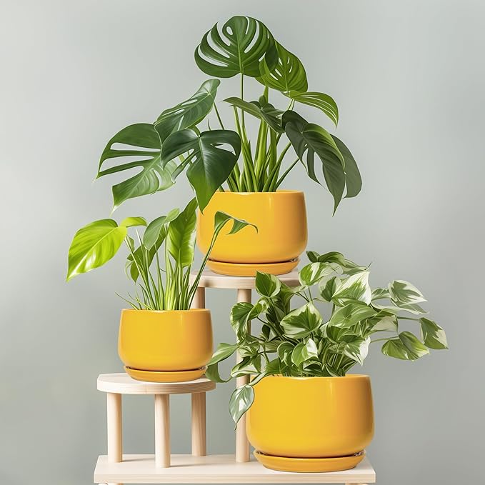 G EPGardening Ceramic Pots for Plants - 7 Inch Plant Pot with Drainage Hole and Saucer, Modern Ceramic Planter for Indoor Outdoor, Round Flower Planter, Gifts for Plants Lovers, Home Decor, Yellow