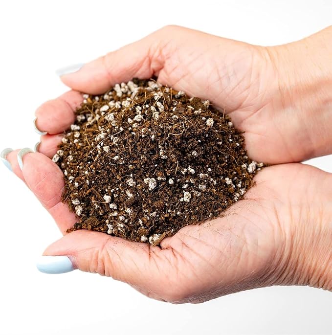 Premium Organic Potting Soil - 3 Quart - The Ideal Growing Medium for Delicious and Nutritious Homegrown Potatoes