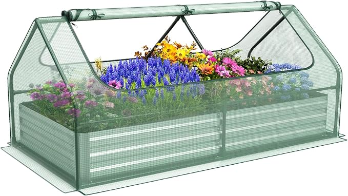 SAFSTAR Raised Garden Bed with Cover, 6FT x 3FT x 3FT Galvanized Bottomless Garden Bed with Greenhouse, Dual 2-Tier Roll-Up Windows, Outdoor Metal Planter Box Kit with Cover (Green)