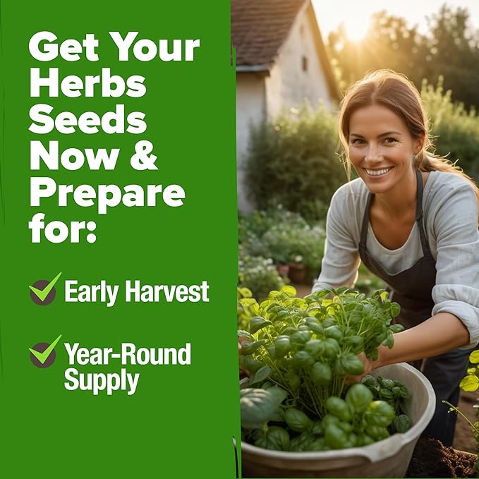 HOME GROWN 10 Herb Seeds for Planting 3,000+ Non-GMO Heirloom Seeds | Extra Large Variety Pack Herb Kit – Indoor Outdoor & Hydroponic | Culinary Seed Set | Grow Your Own Herbs | Gift for Beginners