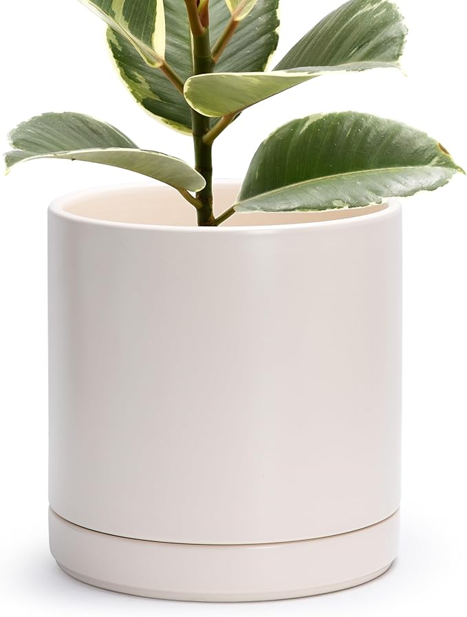 D'vine Dev 10 Inch Ceramic Planter Pot with Drainage Hole and Saucer, Indoor Cylinder Round Planter Pot, Oatmeal, 94-O-E-8