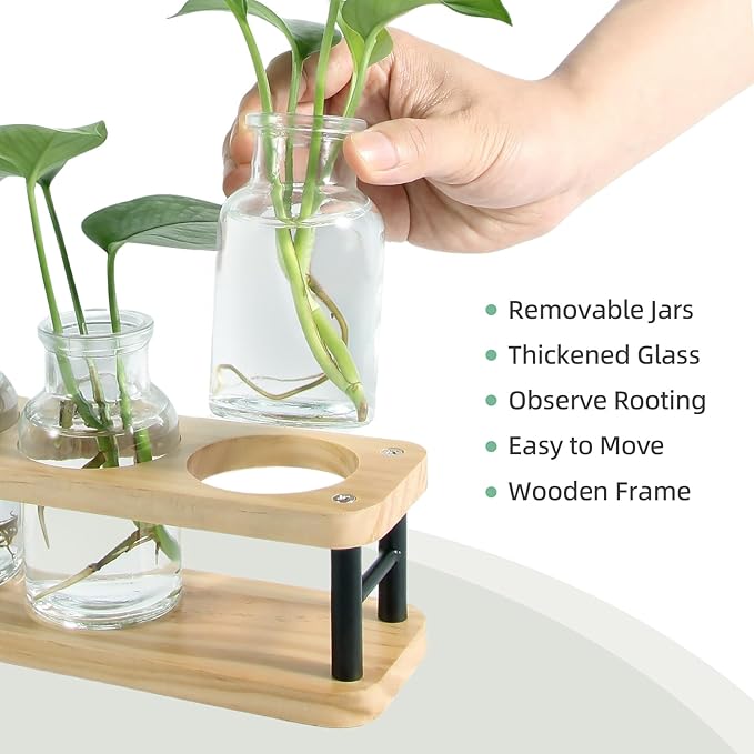 THYGIFTREE Plant Propagation Station with Wooden Stand, Propagation Vases Glass Planters for Indoor Plants Hydroponic Propagating Jars Home Office Decor, Plant Lover Gifts