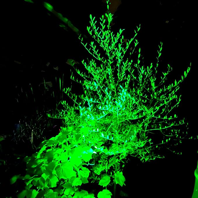 T-SUNUS Green Solar Spot Lights Outdoor Waterproof IP65, Landscape Spotlights 2 Modes Dusk to Dawn for Accent Uplighting Christmas Halloween St. Patrick's Day Tree Yard Statue Graveyard Driveway Flag