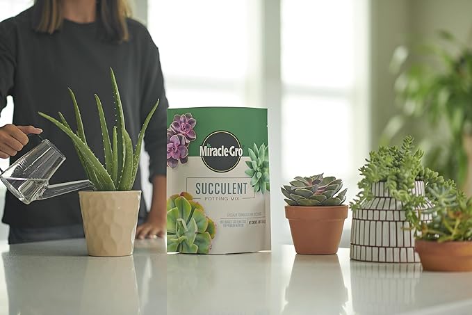Miracle-Gro Succulent Potting Mix, for Indoor Succulents, Aloe Vera and More, Made with Miracle-Gro Plant Food, 4 qt. (3-Pack)