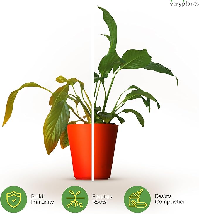 Molly's Aroid Mix - Premium Soilless Chunky Potting Mix for Tropical and Indoor Plants - Contains Orchiata Bark, Coco Chips, Worm Castings, Horticultural Charcoal, Mycorrhizae 5 Dry Quarts