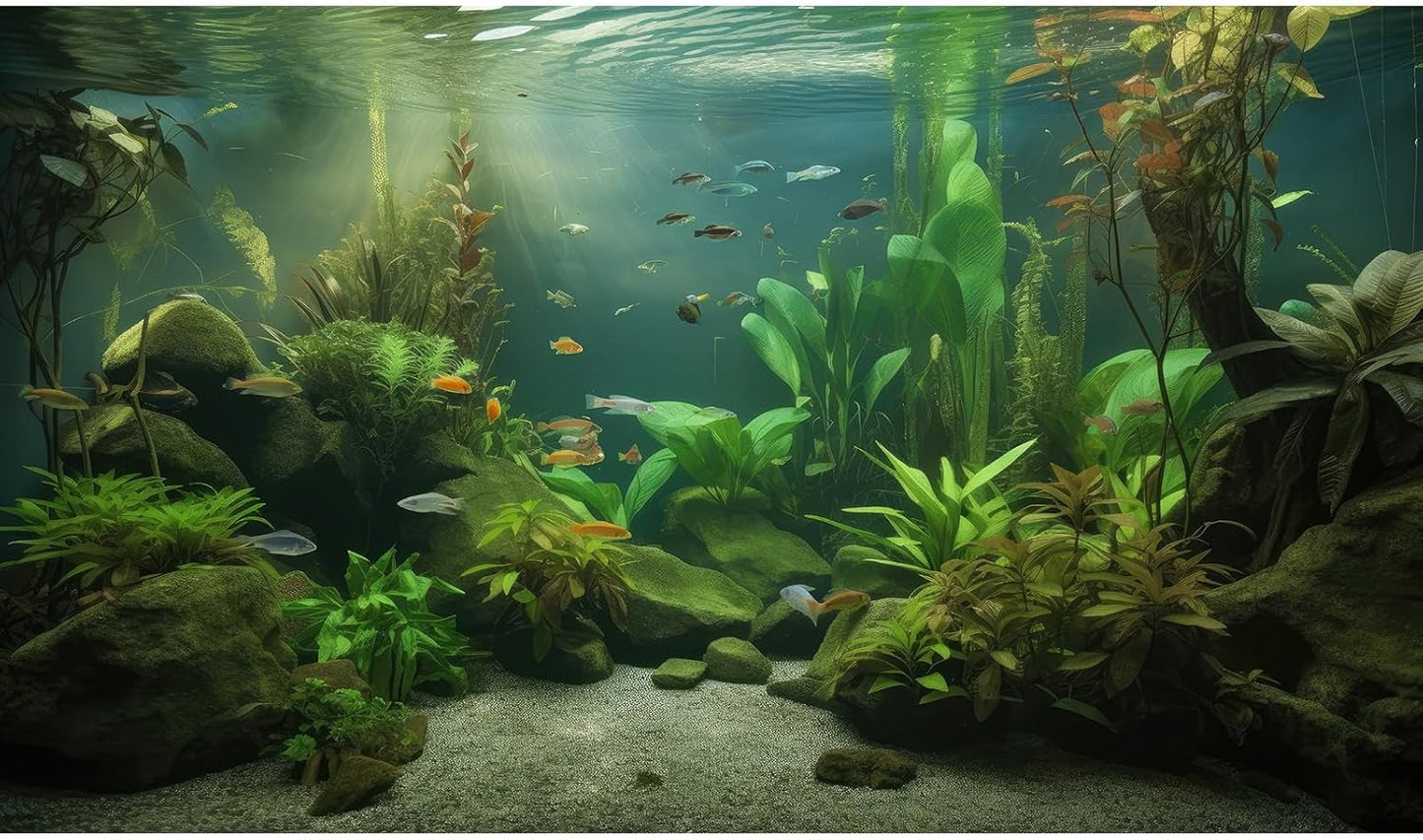 Under The Sea Aquarium Background Underwater Aquatic Plants Fish Tank Background Tropical Fish Rock with Moss Terrarium Background Undersea Green Grass with Sunbeams Terrarium Background 72x16in