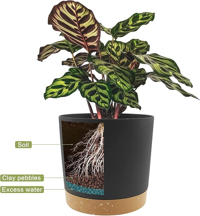 QCQHDU 10 inch Plant Pot, 2 Pack Planters for Indoor Plants with Drainage Holes & Saucer, Outdoor Flower Pots Home Garden Modern Decor