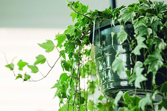 Curtis Wagner Plastics Hanging Basket Drip Pans (5-Pack) | Clear, Round (Diameter = 6.25" Base, 8" Top, 3.5" Depth) Hanging Plant Tray Saucer with Built-in Hooks & Water Catcher for Indoor & Outdoor