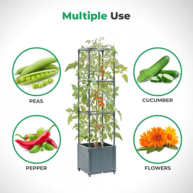 Raised Garden Bed with Tomato Planter Cage, Trellis Planter Boxes for Outdoor Patio Greenhouse Gardening Climbing Vegetables