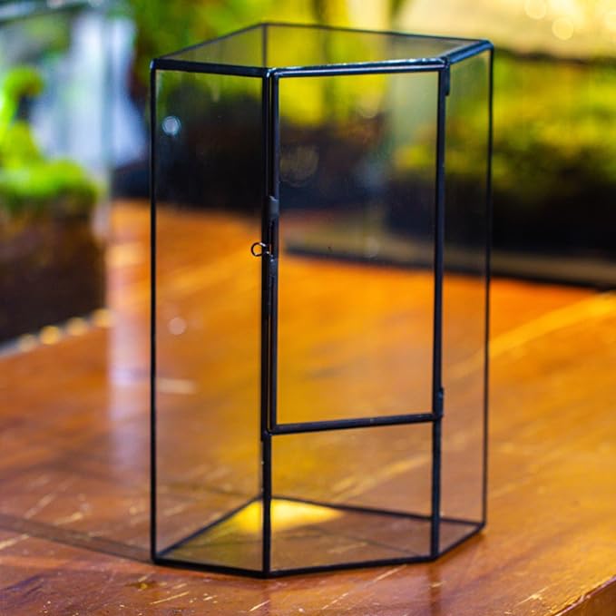 NCYP Front Opening Glass Terrarium with Door for Succulents, Small Plants - Closed Geometric Container Planter, Indoor Tabletop Wall Corner Landscape Decor, Black, 5" x 5" x 9.8" (Terrarium Only)